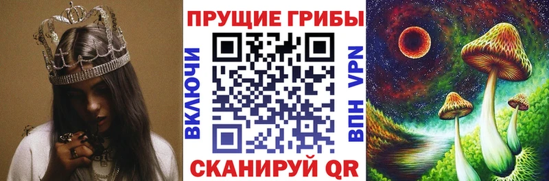 Галлюциногенные грибы Psilocybe  Давлеканово 